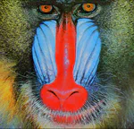 Single-Image Super-Resolution